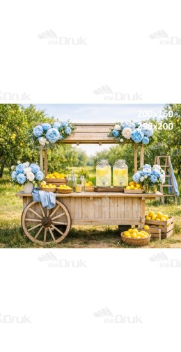 Tło fotograficzne „Letni stragan z lemoniadą i niebieskimi kwiatami” | 4031